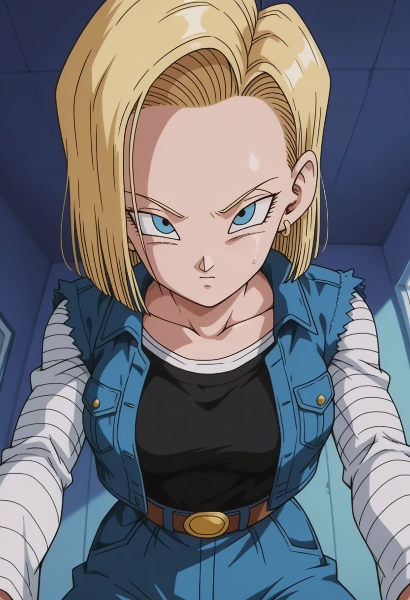 Android 18 Part 2 / 120 Pictures / Image Pack