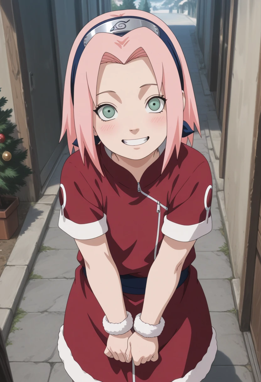 Christmas Sak.ura / 120 Pictures / Image Pack