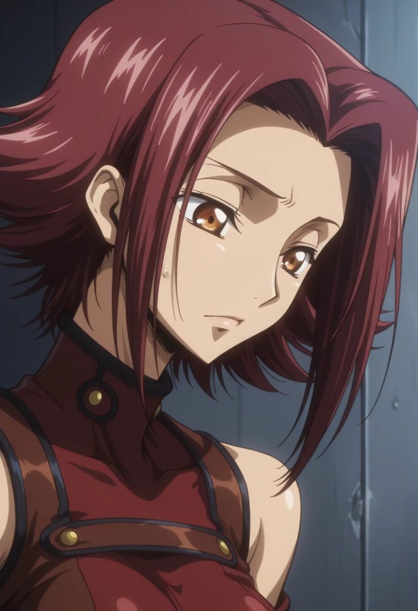 Kallen Kozuki / 130 Pictures / Image Pack