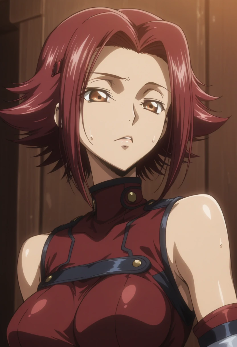 Kallen Kozuki / 130 Pictures / Image Pack