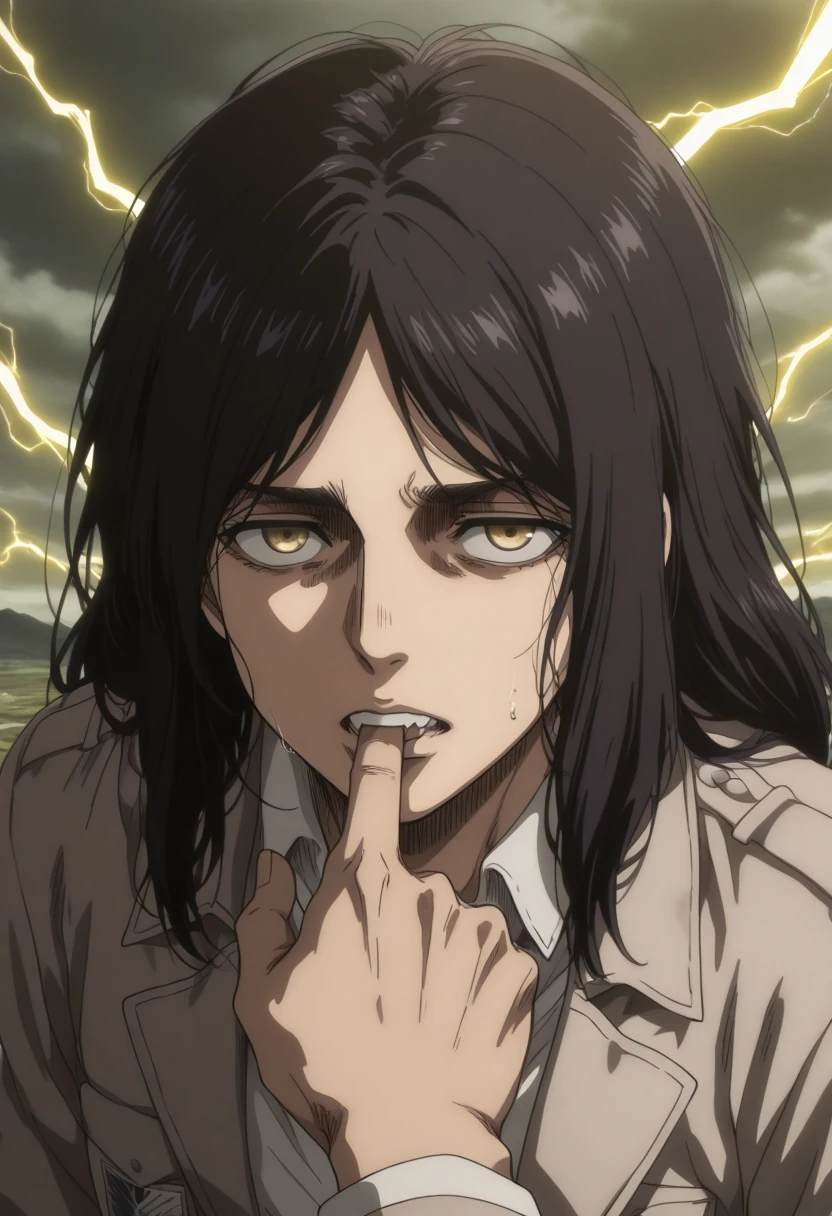 Pieck / 85 Pictures / Image Pack