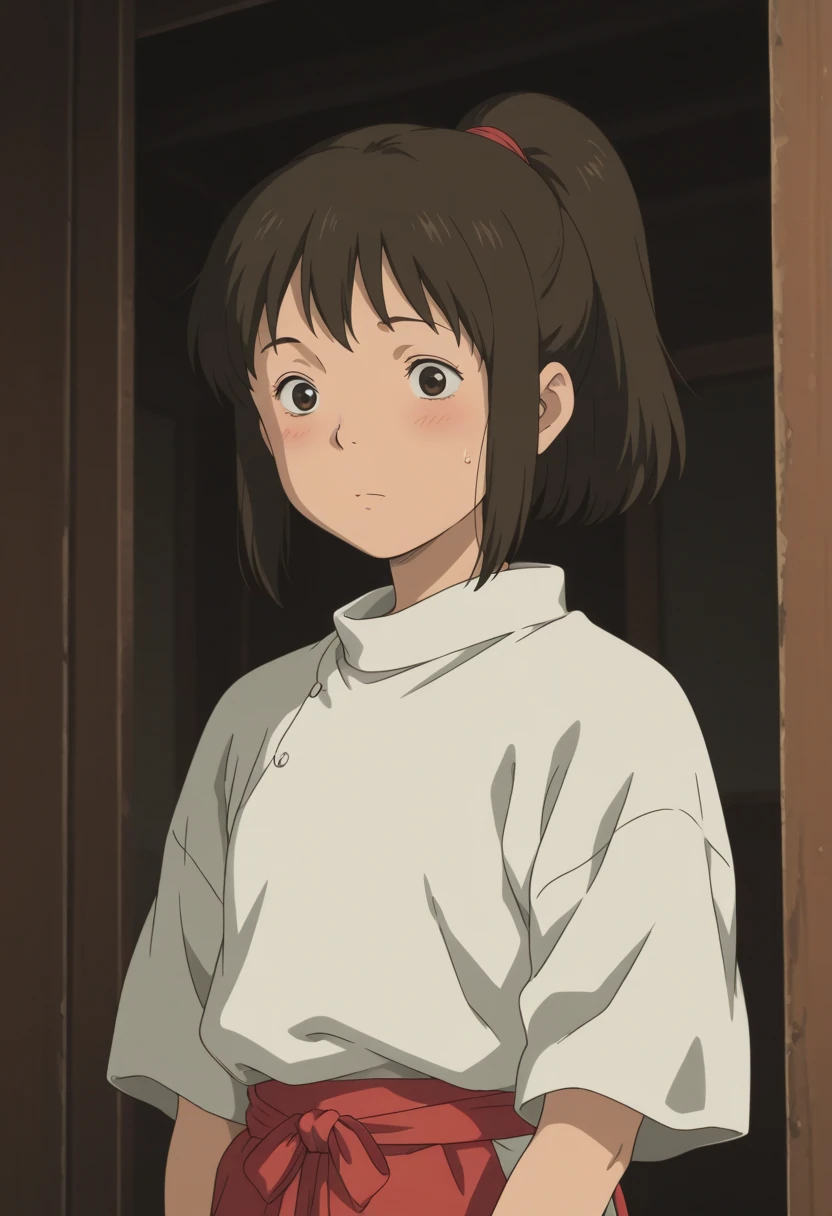 Chihiro / 430 Pictures / Image Pack