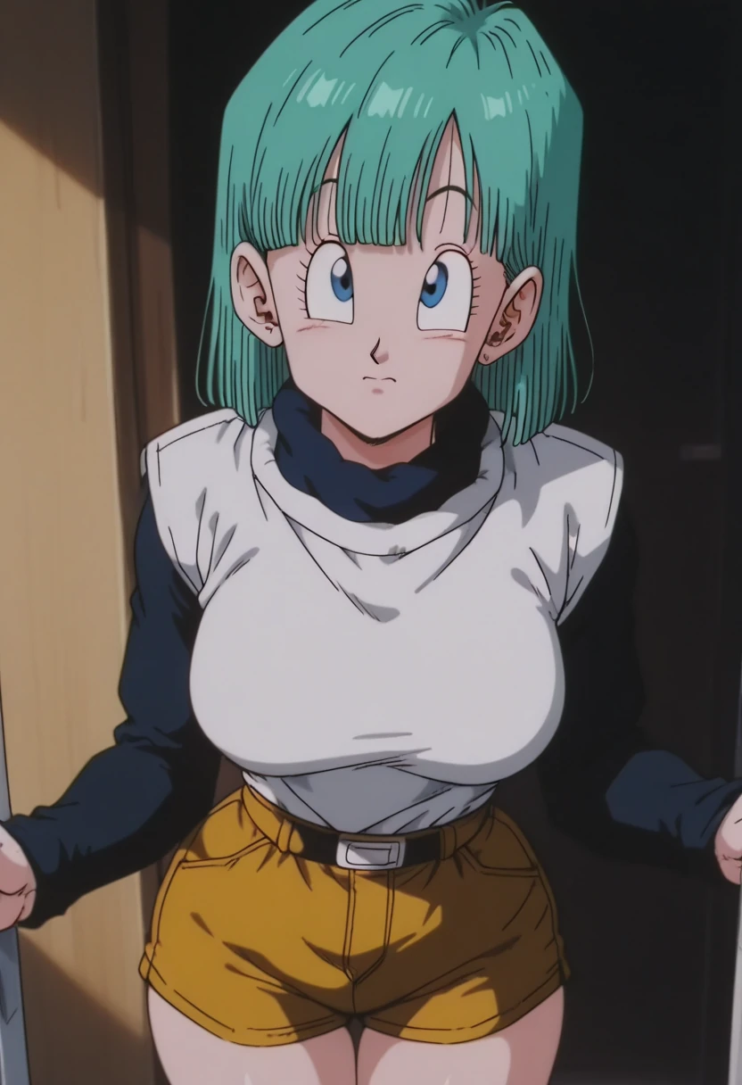 Bulma 10 / 130 Pictures / Image Pack