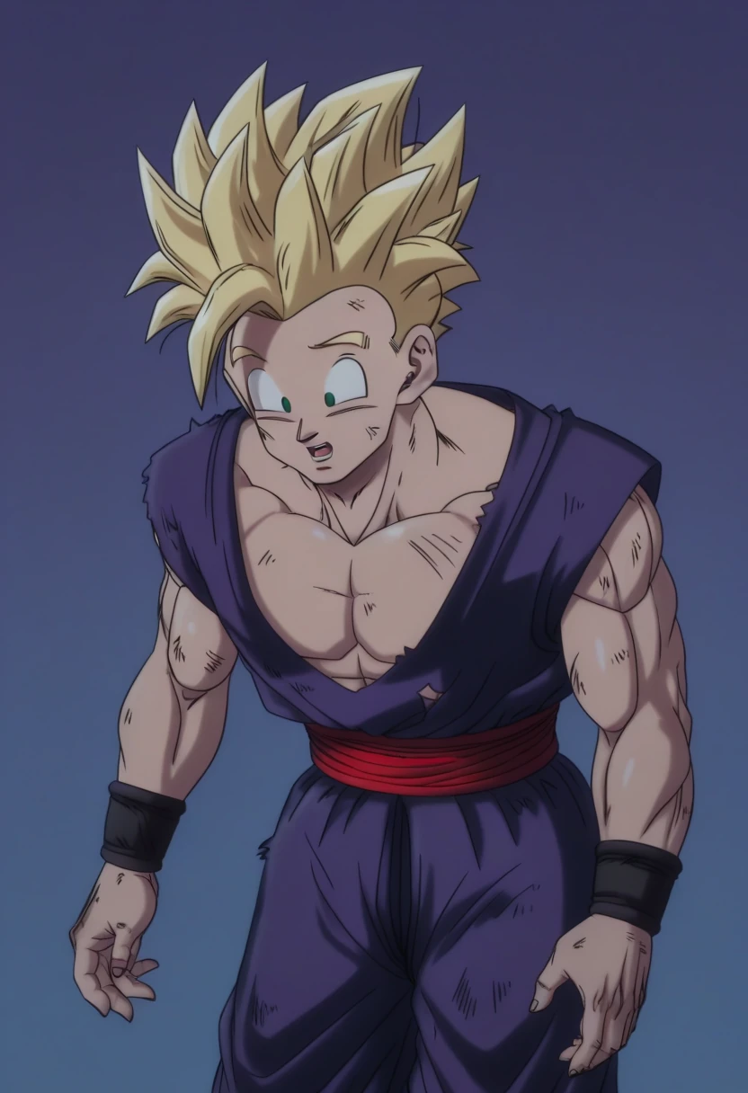 Gohan / 170 Pictures / Image Pack