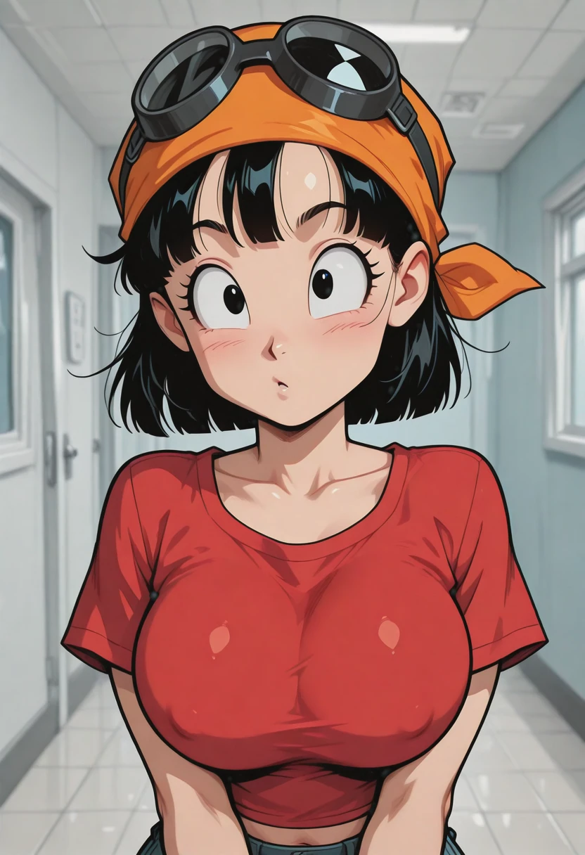 Pa.n 6 / 100 Pictures / Image Pack