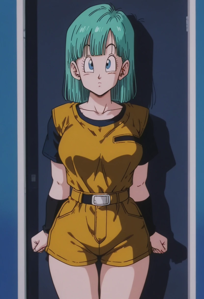Bulma 10 / 130 Pictures / Image Pack