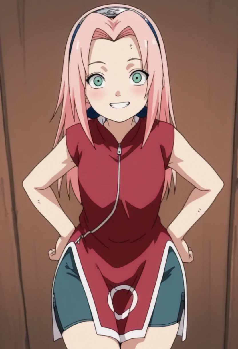 Sakura 5 / 330 Pictures / Image Pack
